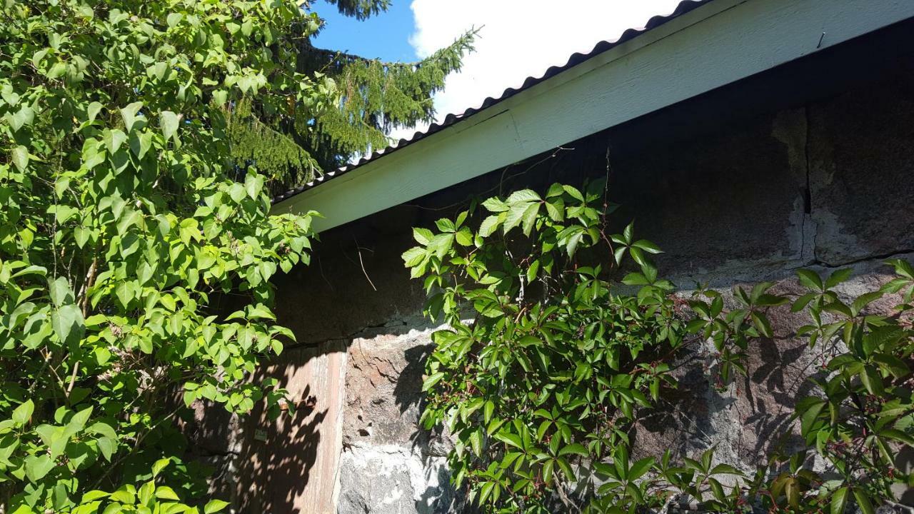 Villa Vuorenpaeae Tammela Exterior photo